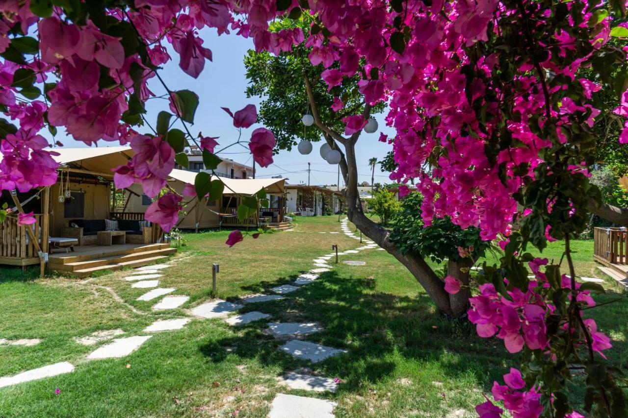 Logos Beach Village Theológos Esterno foto